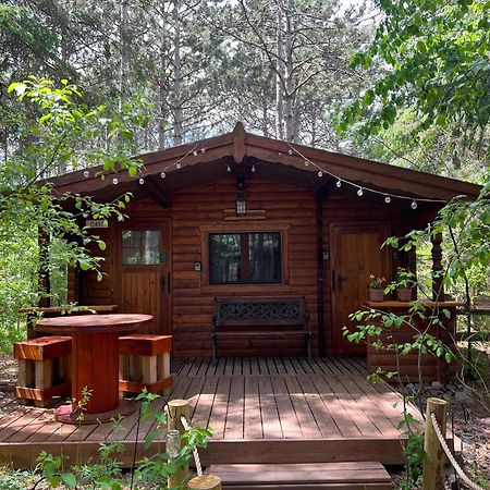 Fancy Fireflies Cabin Hayward Esterno foto