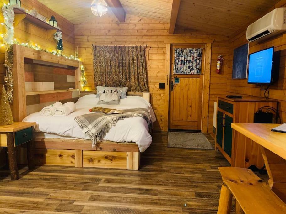 Fancy Fireflies Cabin Hayward Esterno foto